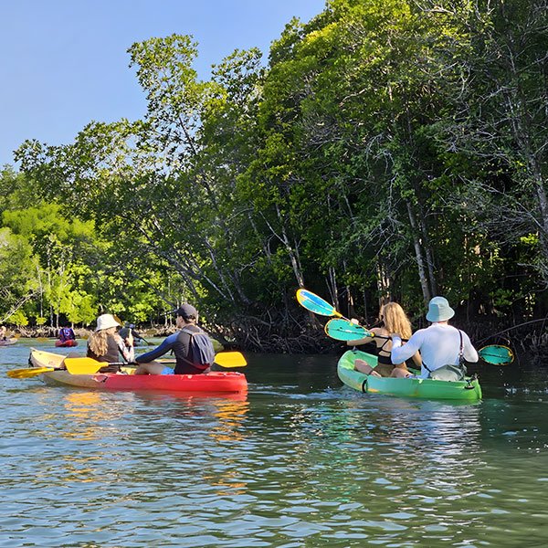 Kayaking activity in Koh Lanta